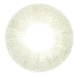 フェードグレーレンズ画像