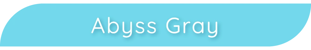 Grunge 1day AbyssGray タイトル