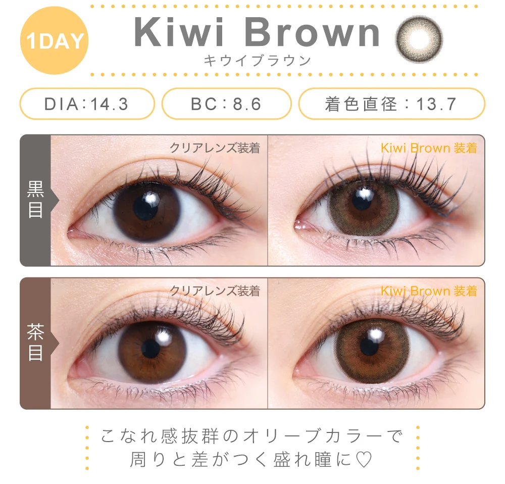キウイブラウン（1DAY）