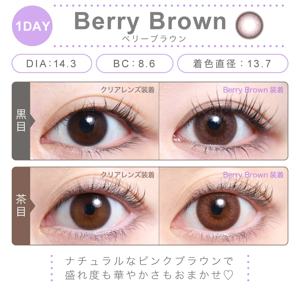 ベリーブラウン（1DAY）
