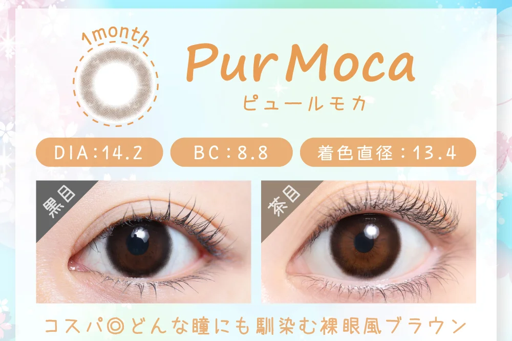 ピュールモカ（1MONTH）