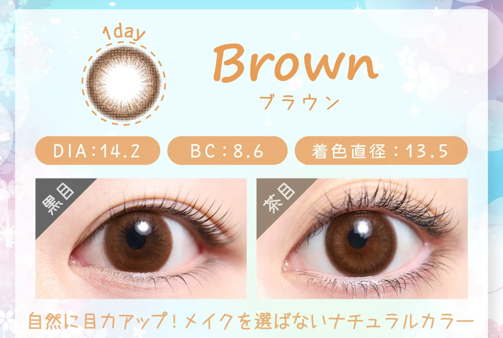 ブラウン（1DAY）