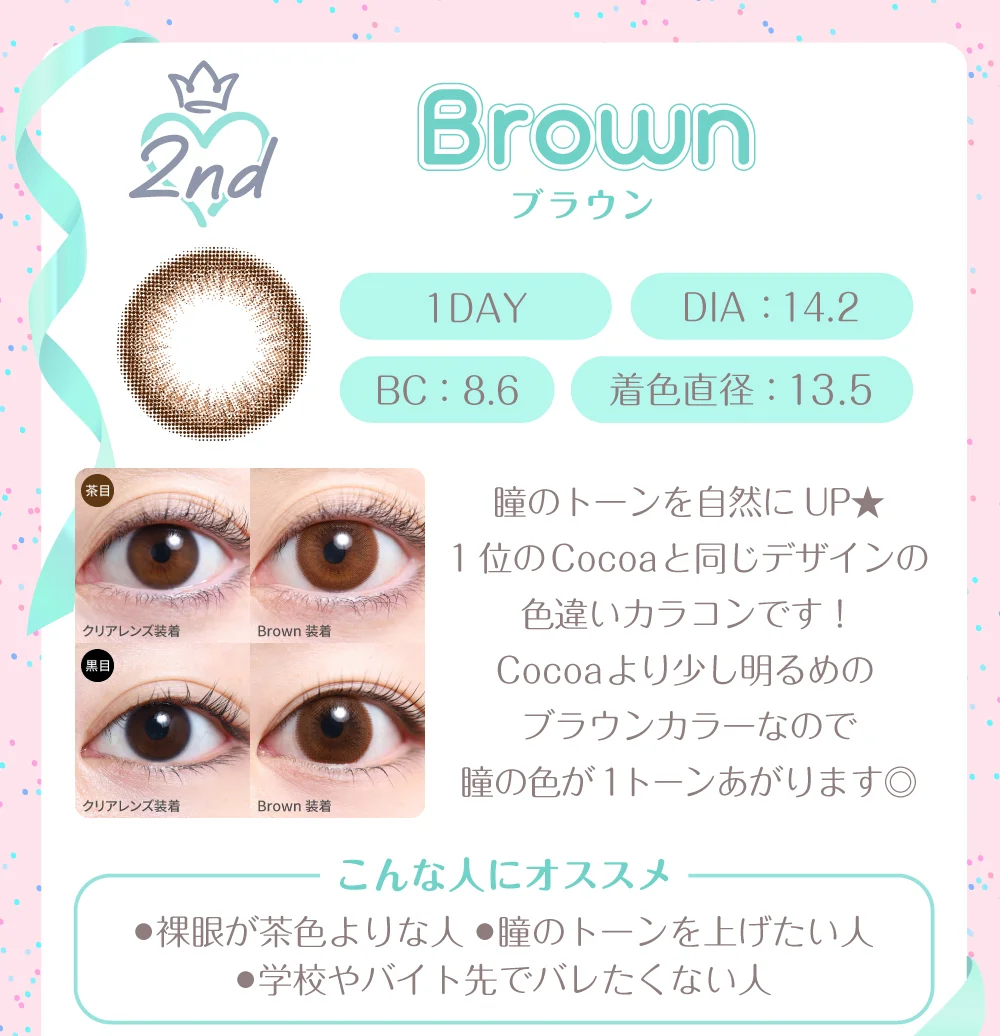 ブラウン（1DAY）