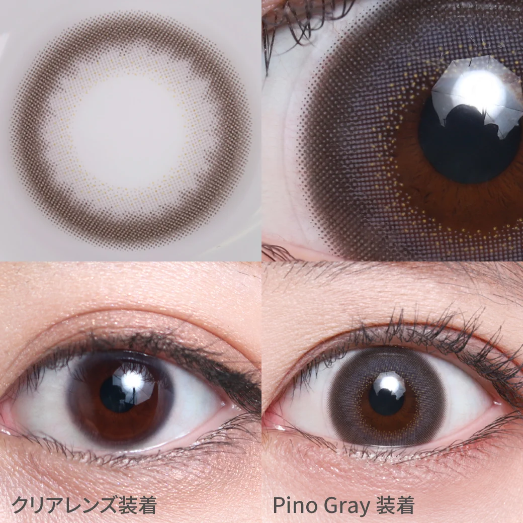 ピノグレーの着画