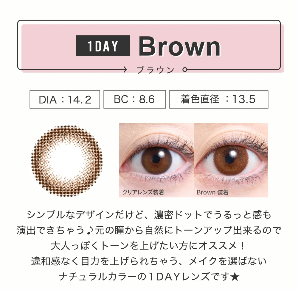 ブラウン（1DAY）