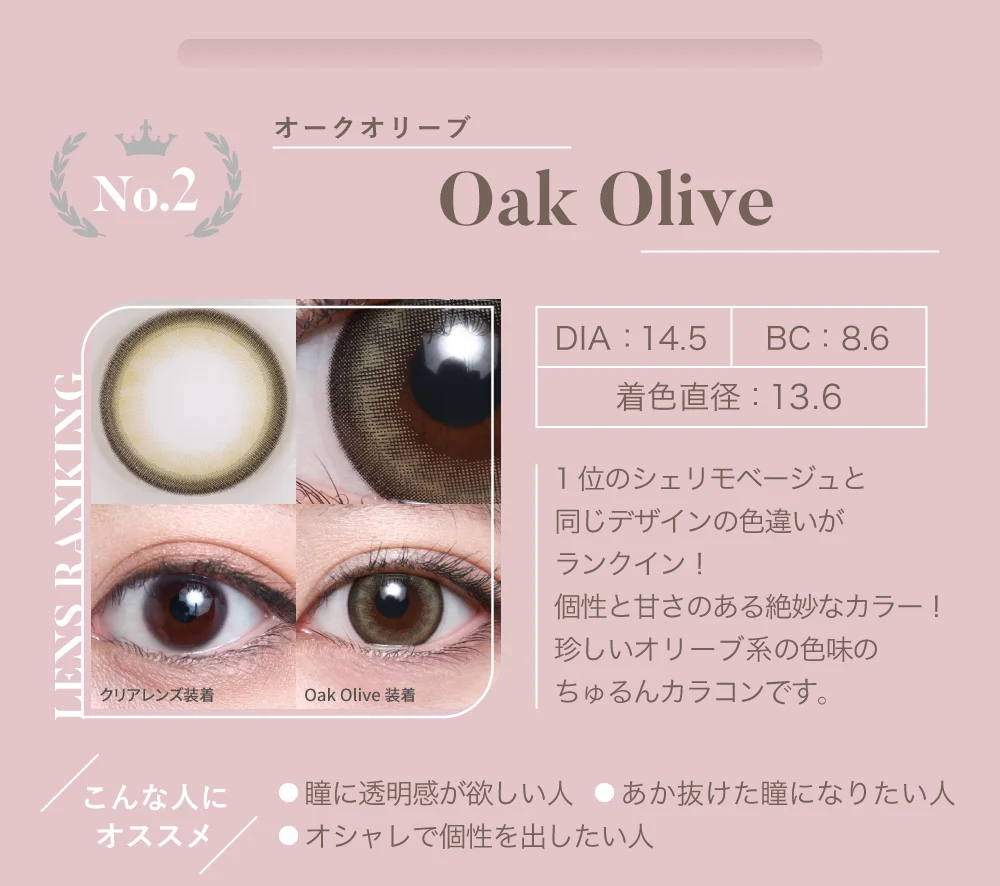 No.2 オークオリーブ（1DAY）