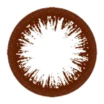 ナチュラルブラック（14.0）レンズ画像