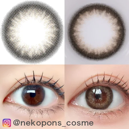 ウィズヒメの着画