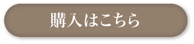 購入はこちら