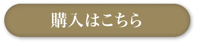 購入はこちら