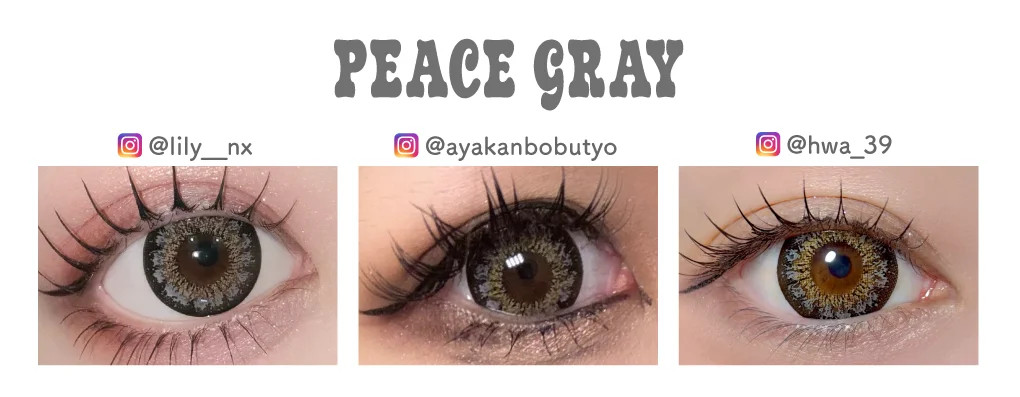 ピースグレーの装用画像