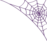 蜘蛛の巣