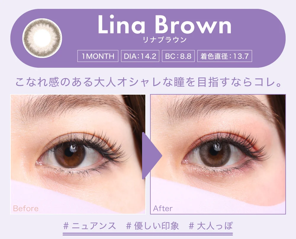 リナブラウン（1MONTH）