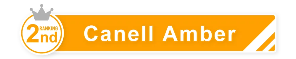 1DAY人気カラコンランキング NO.2 14.5mm キャネルアンバー タイトル｜カラコン ワンデー