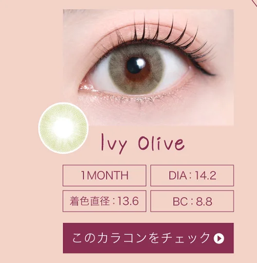 アイビーオリーブ（1MONTH）