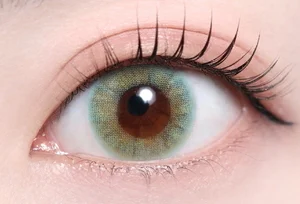 アビスグレー（1DAY・低含水）_スタッフ