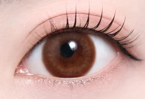 エメブラウン（低含水）_スタッフ