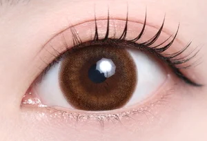 エメブラウン_スタッフ