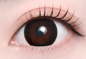 ベアブラック_スタッフ