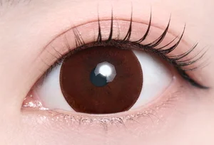 ベアブラウン_スタッフ