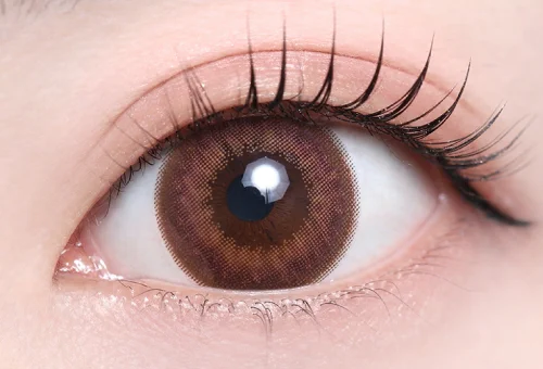 ベリーブラウン_スタッフ