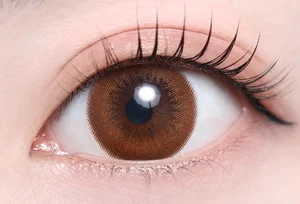 ブラウン_スタッフ