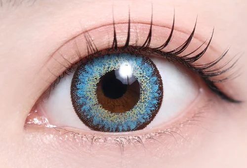 シエルブルー_スタッフ