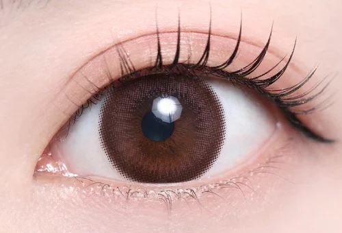 ココア_スタッフ