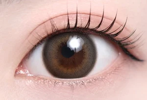 ダスグレージュ（1DAY）_スタッフ