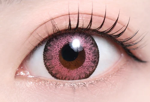 フィリアピンク_スタッフ