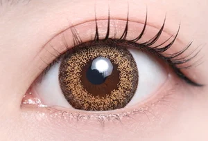 フラヴィブラウン_スタッフ