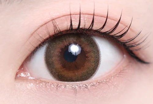 キウイブラウン_スタッフ