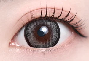 レーシーグレー（1DAY）_スタッフ