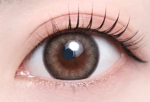 ラテミスト_スタッフ