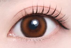 リトルベア_スタッフ