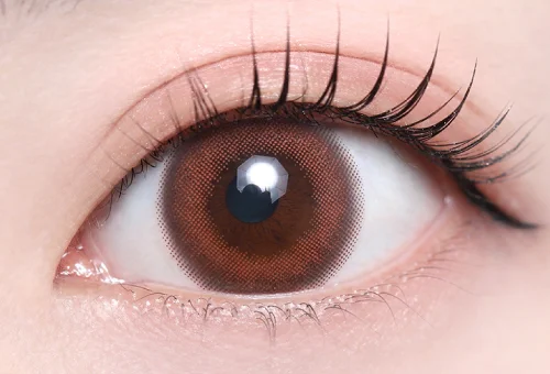 ルルコーラル_スタッフ