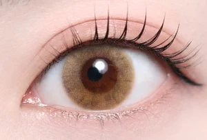 モスブラウン（1DAY・低含水）_スタッフ