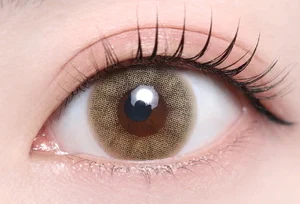 モスブラウン（1DAY）_スタッフ