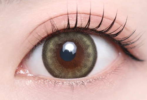 オークオリーブ_スタッフ