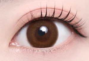 ピノブラウン_スタッフ