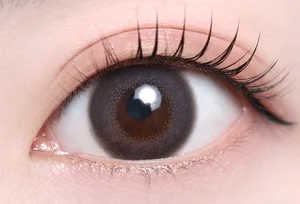 ピノグレー_スタッフ