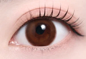 プリモブラウン_スタッフ