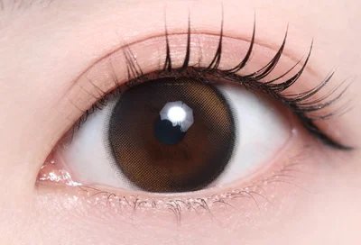 プリズムブラック_スタッフ