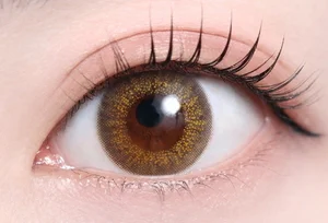 ヴィヴィアナブラウン（低含水）_スタッフ