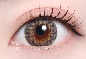 ディ.アモールグレー_スタッフ