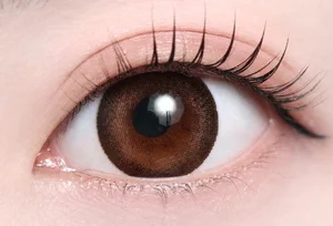 チョコブラウン_スタッフ