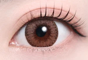 クラッシーブラウン_スタッフ