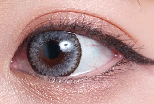 クラッシーグレー片目着画