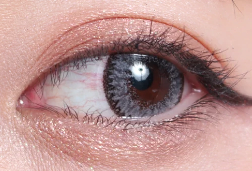 クラッシーグレー片目着画