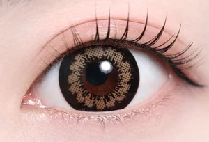 ダーリンブラウン_スタッフ